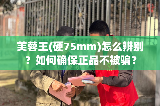 芙蓉王(硬75mm)怎么辨别？如何确保正品不被骗？